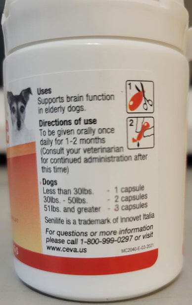 Revitalize Your Senior Dog's Joyful Spirit